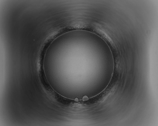 X0000094900635200712061029