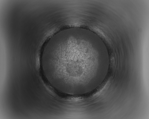 X0000094900638200712061029