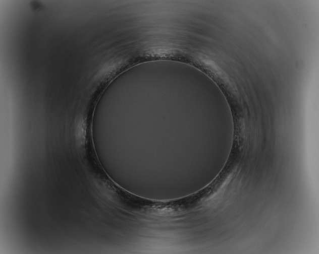X0000094900640200712061029