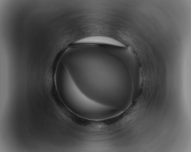 X0000094900642200712061029