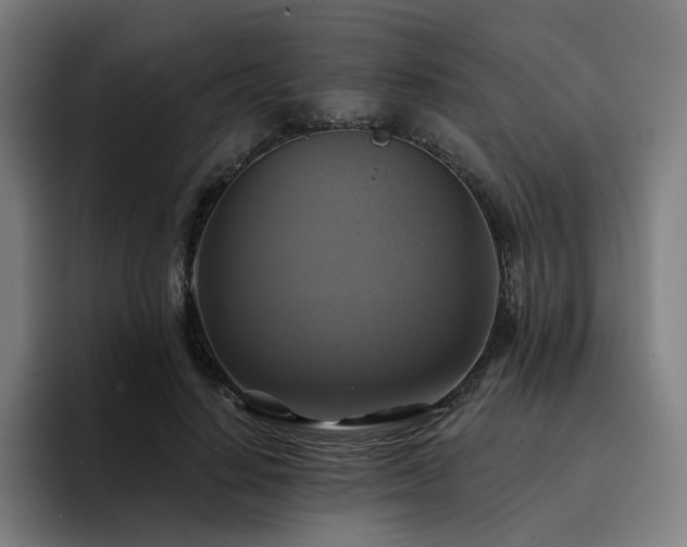 X0000094900644200712061029