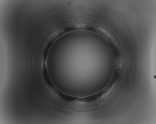 X0000094900648200712061029