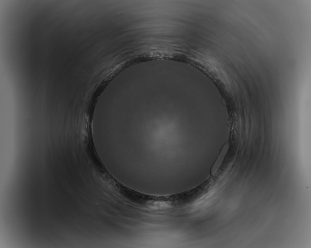 X0000094900649200712061029