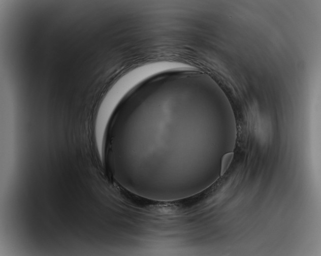 X0000094900652200712061029