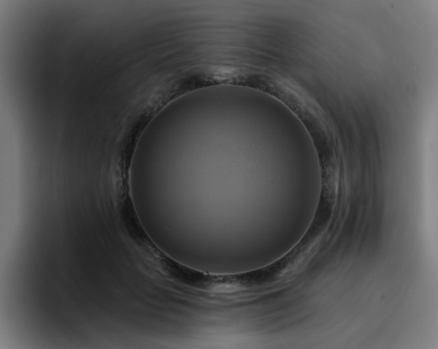 X0000094900653200712061029