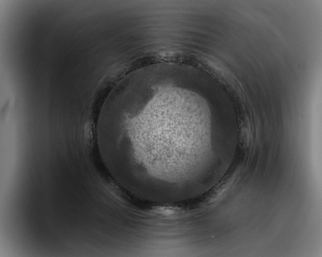 X0000094900654200712061029