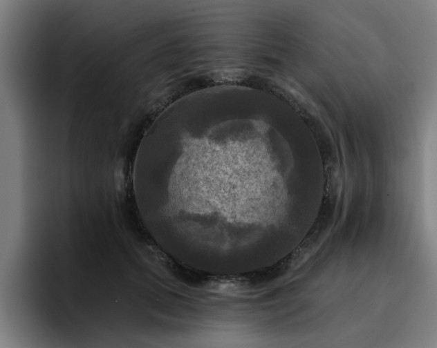 X0000094900655200712061029