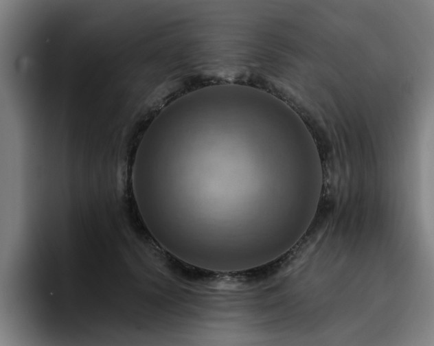 X0000094900656200712061029