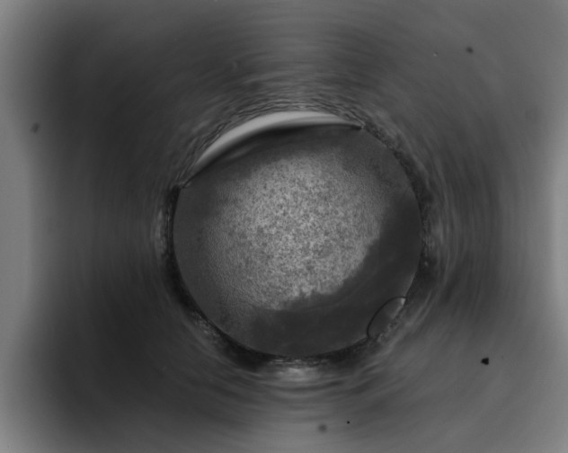 X0000094900658200712061029