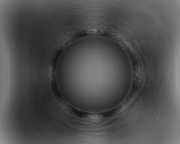 X0000094900659200712061029