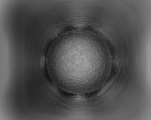 X0000094900660200712061029