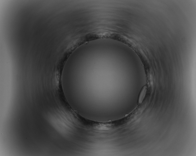 X0000094900664200712061029
