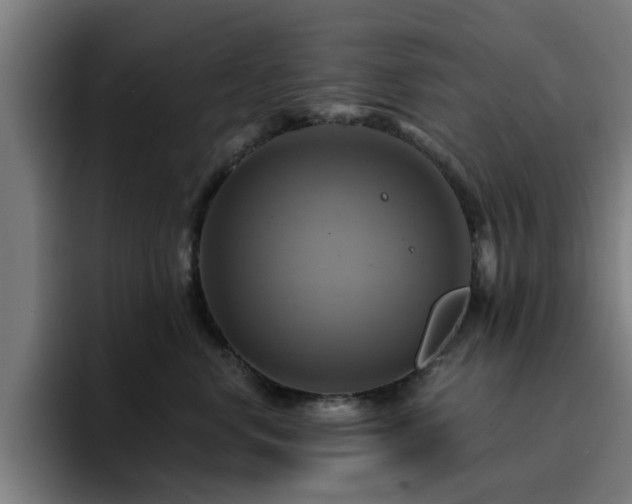 X0000094900668200712061029