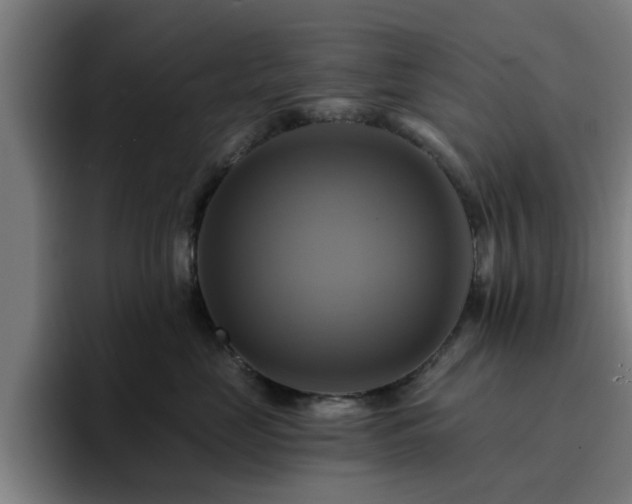 X0000094900669200712061029