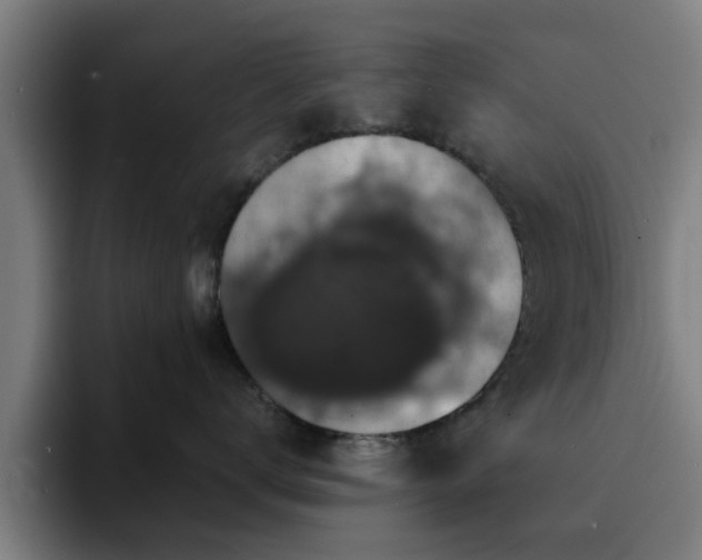 X0000094900672200712061030