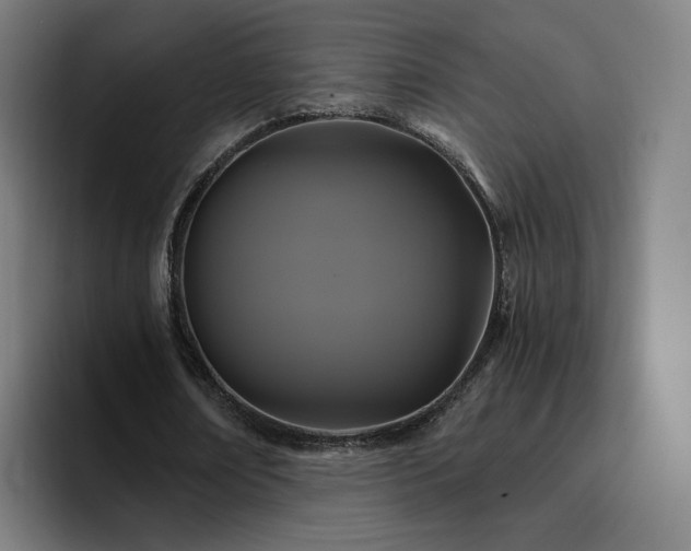 X0000094900674200712061029