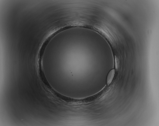 X0000094900675200712061029