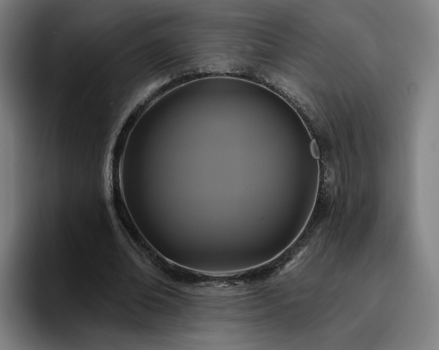 X0000094900678200712061029