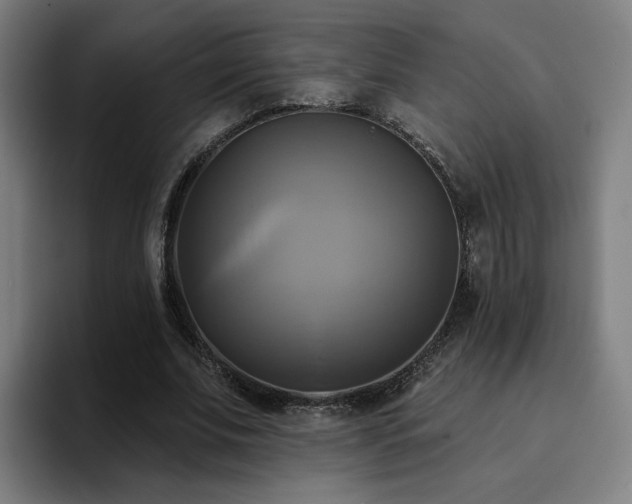 X0000094900679200712061029
