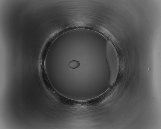 X0000094900680200712061029