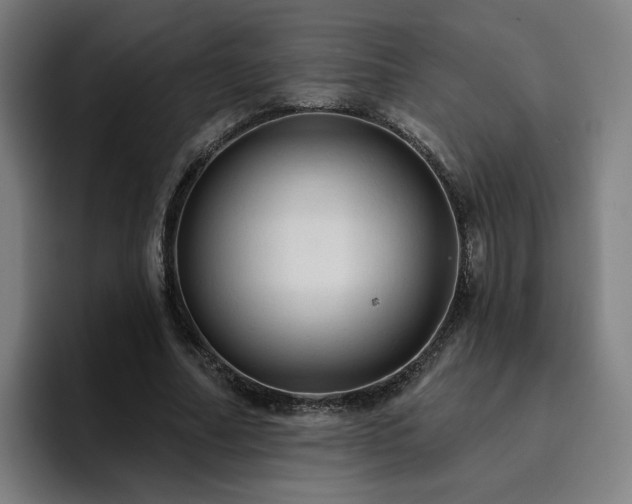 X0000094900682200712061029
