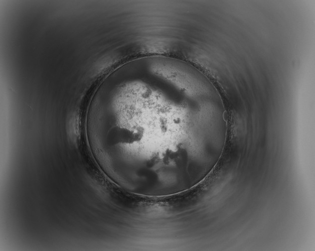 X0000094900683200712061029