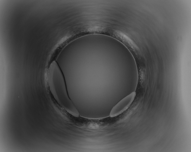 X0000094900684200712061029