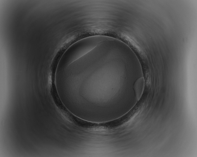X0000094900685200712061029