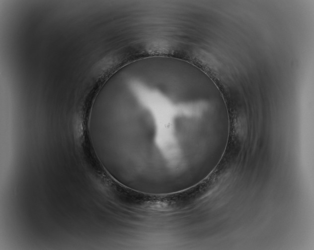 X0000094900687200712061029