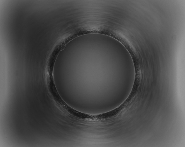 X0000094900688200712061029
