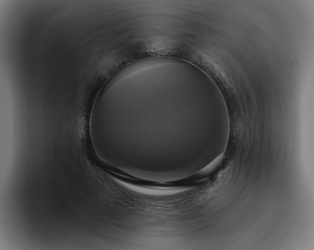 X0000094900689200712061029