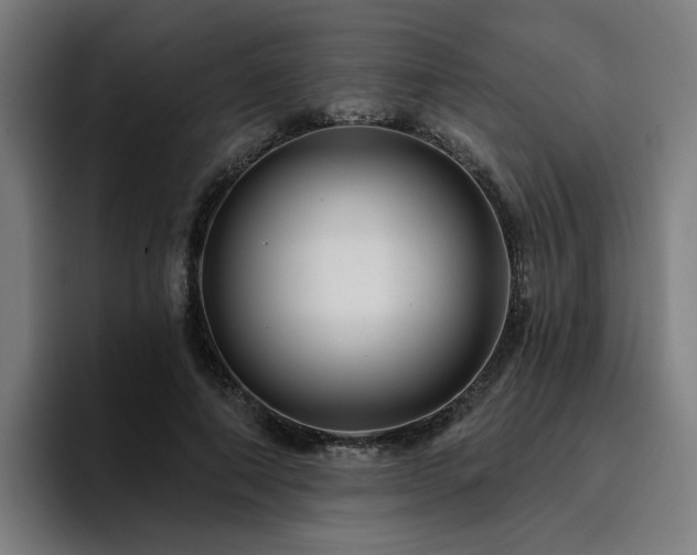 X0000094900690200712061029