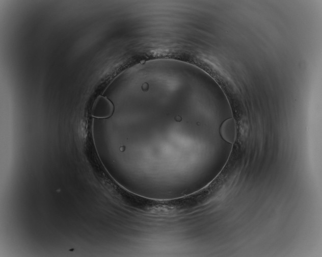 X0000094900691200712061029