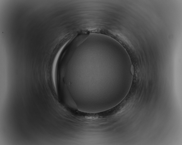 X0000094900693200712061029