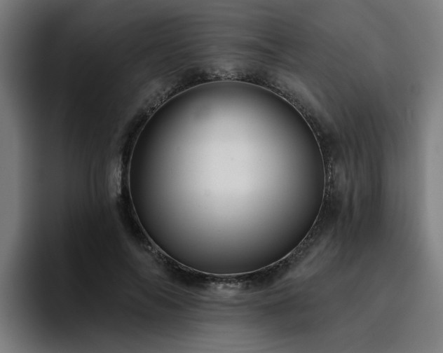 X0000094900694200712061029