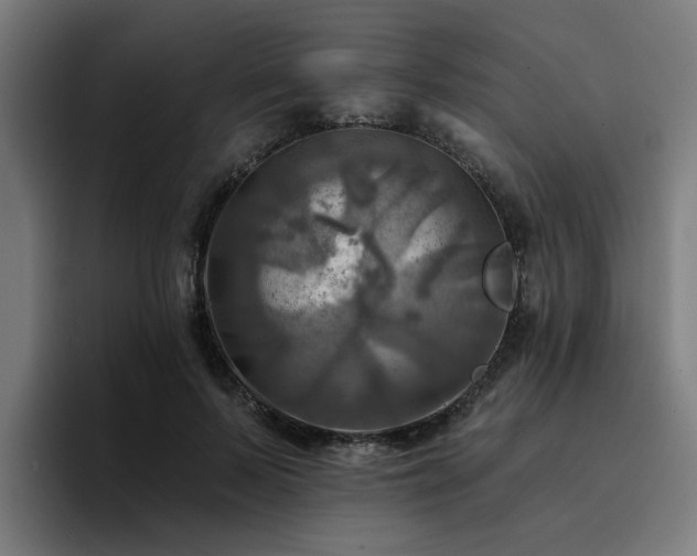 X0000094900695200712061029