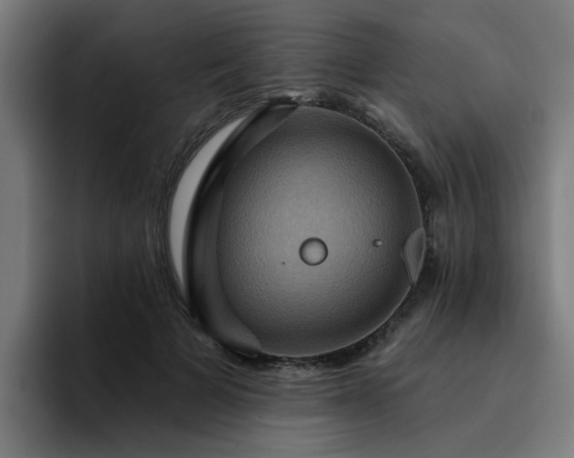 X0000094900697200712061029