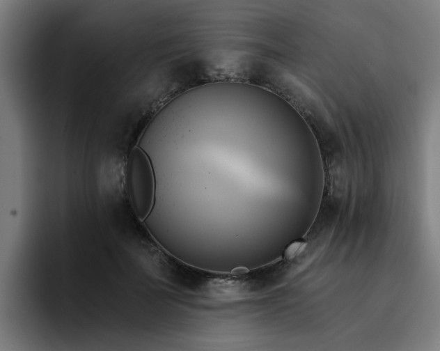 X0000094900699200712061029
