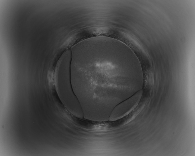 X0000094900700200712061029