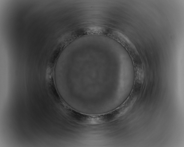 X0000094900701200712061029