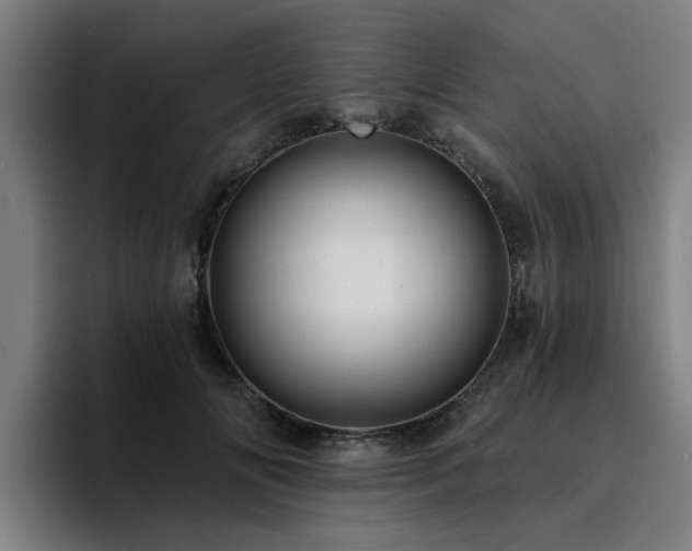 X0000094900702200712061029