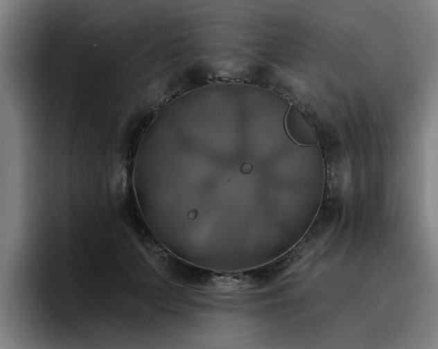X0000094900703200712061029