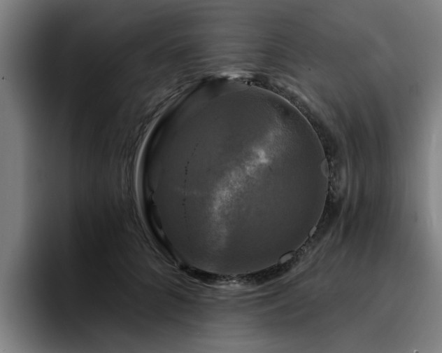 X0000094900704200712061028