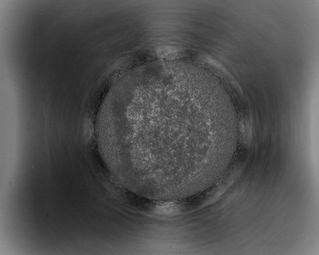 X0000094900705200712061028