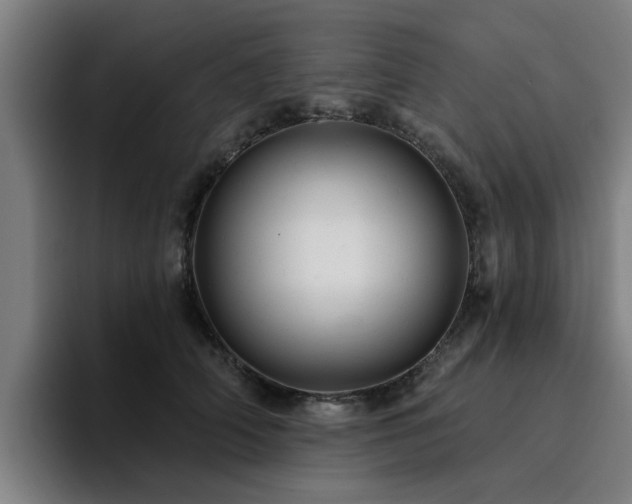 X0000094900706200712061028