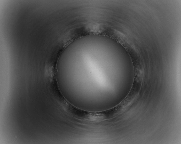X0000094900707200712061028