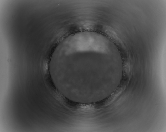 X0000094900709200712061028