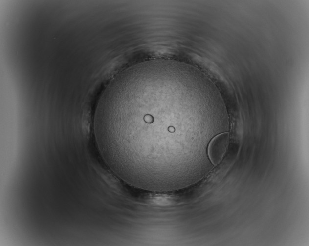 X0000094900710200712061028