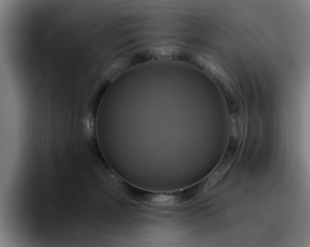 X0000094900718200712061028