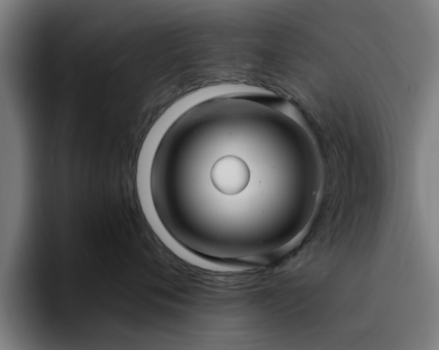 X0000094900720200712061028
